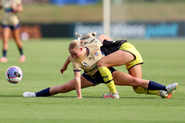 的重要一员 的重要一员