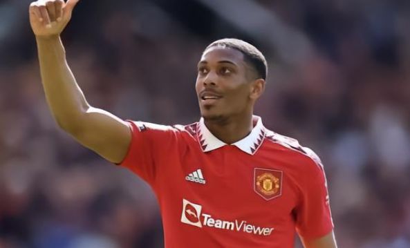 部体系强化 部体系强化